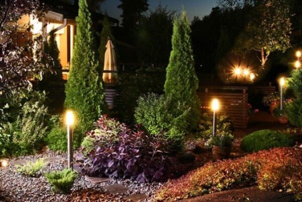 oświetlenie ogrodu