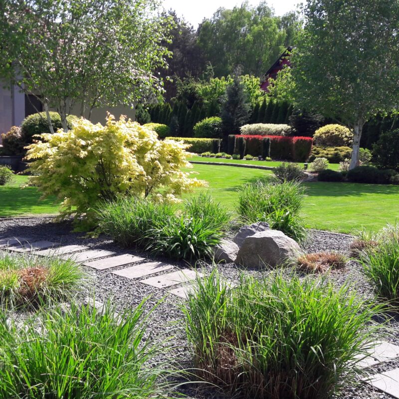 ogród, ogród skalny, skalniak, projektowanie ogrodów, zakładanie ogrodu