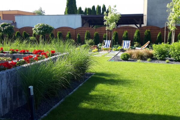 rośliny na komary, ogród latem, ogród, projektowanie ogrodu, rośliny odstraszające komary