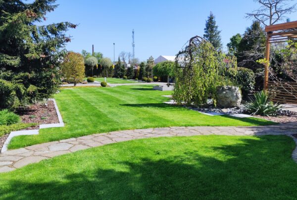 trawnik, trawnik w ogrodzie, trawa, projekt ogrodu, jak dbać o trawnik