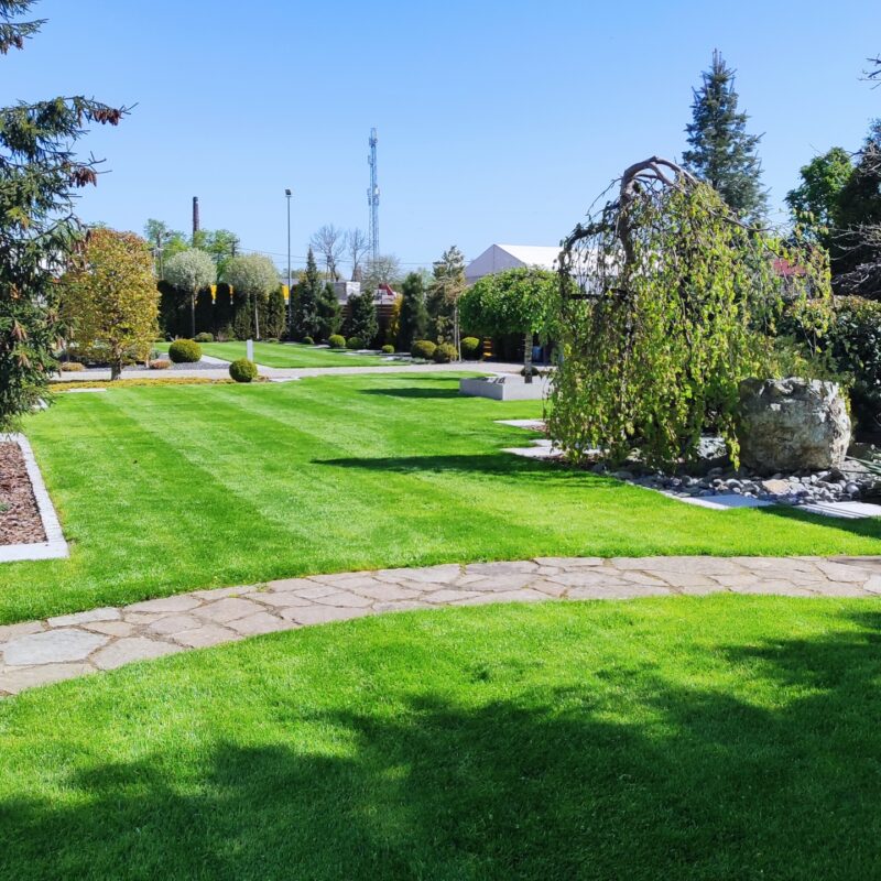 trawnik, trawnik w ogrodzie, trawa, projekt ogrodu, jak dbać o trawnik