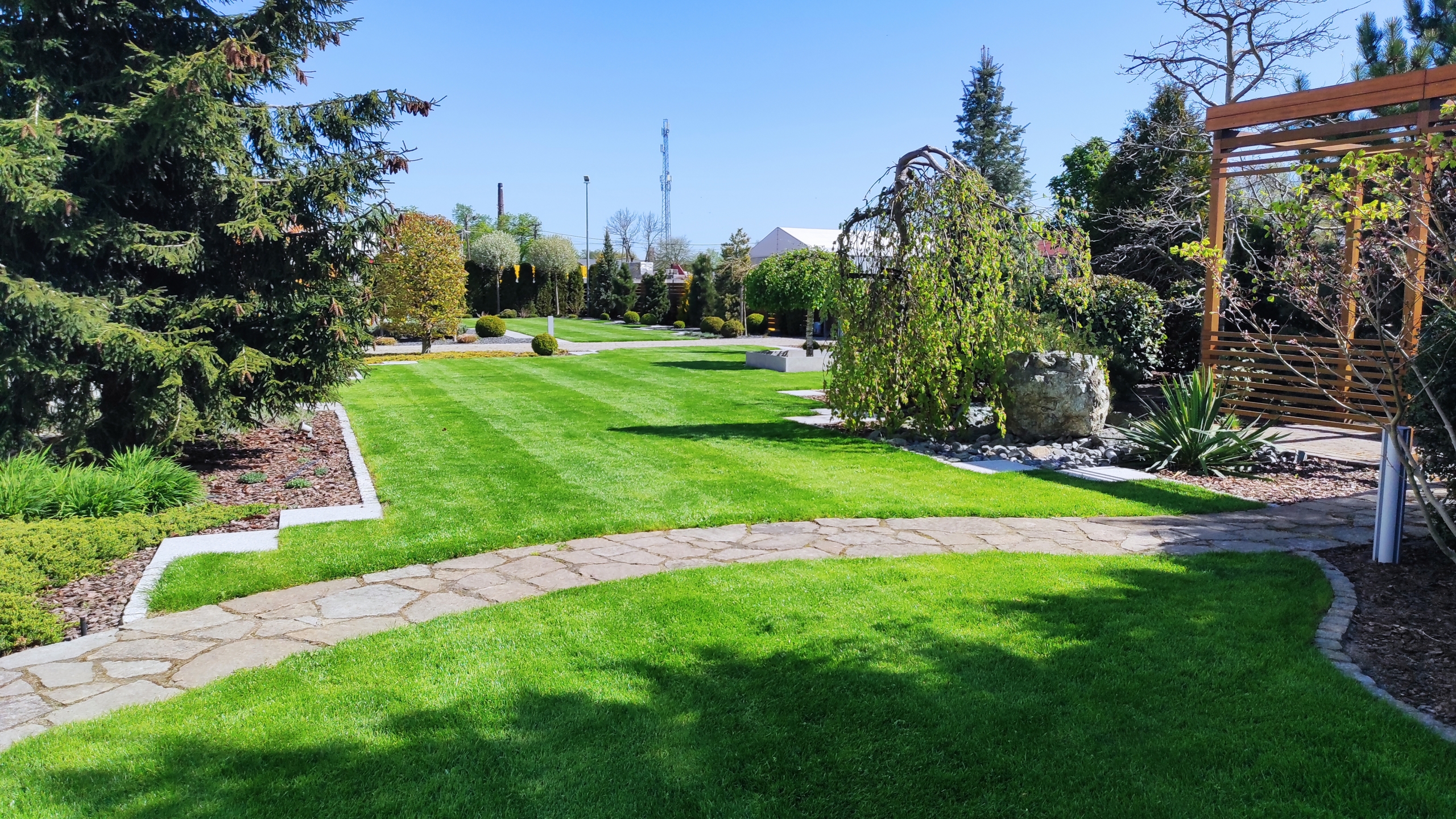 Trawnik z rolki czy tradycyjny, z siewu? Który lepszy? Wady i zalety obu rozwiązań