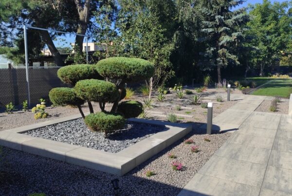 projektowanie ogrodów poznan