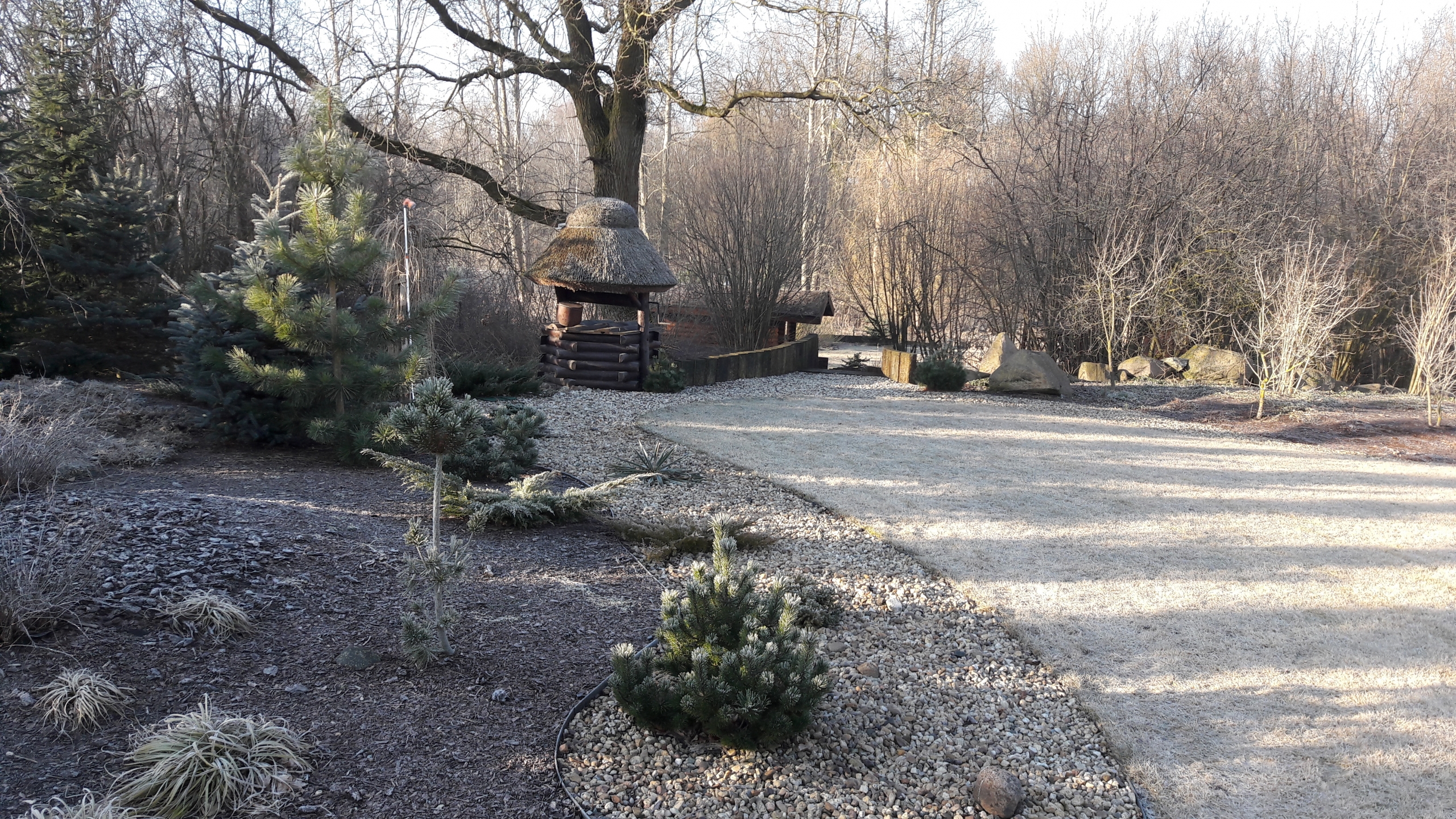 Jesień w ogrodzie, czyli jak dbać o ogród jesienią?