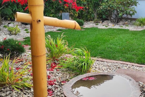 Projektowanie i zakładanie ogrodów w Poznaniu i okolicach 29