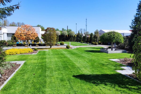 Projektowanie i zakładanie ogrodów w Poznaniu i okolicach 31