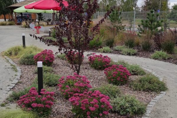 Projektowanie i zakładanie ogrodów w Poznaniu i okolicach 45