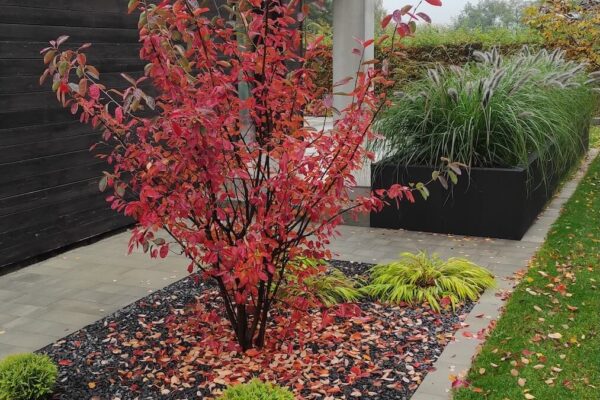 Projektowanie i zakładanie ogrodów w Poznaniu i okolicach 53