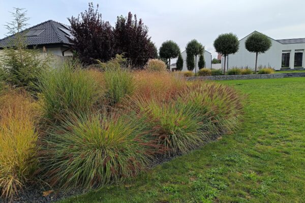 Projektowanie i zakładanie ogrodów w Poznaniu i okolicach 64