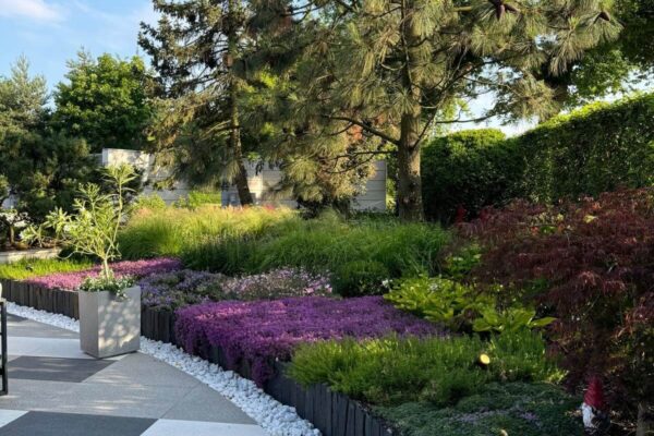 Projektowanie i zakładanie ogrodów w Poznaniu i okolicach 79