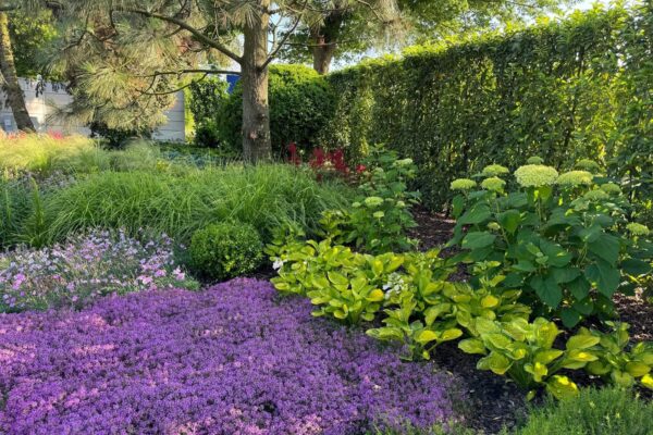 Projektowanie i zakładanie ogrodów w Poznaniu i okolicach 80