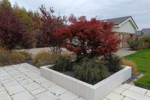 IMG_20241101_215611 kopia