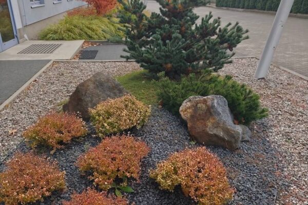 Projektowanie i zakładanie ogrodów Poznań 1