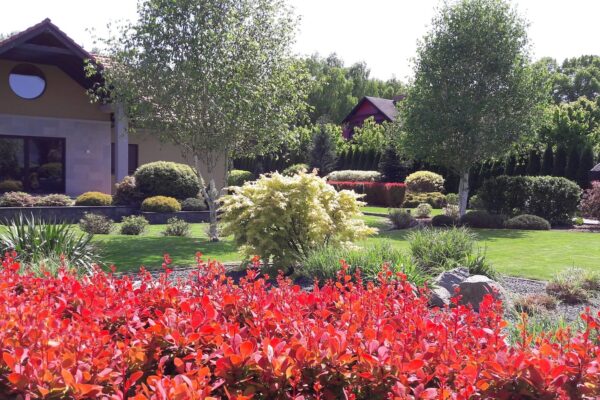 Projektowanie i zakładanie ogrodów Poznań 13