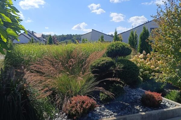 Projektowanie i zakładanie ogrodów Poznań - 17