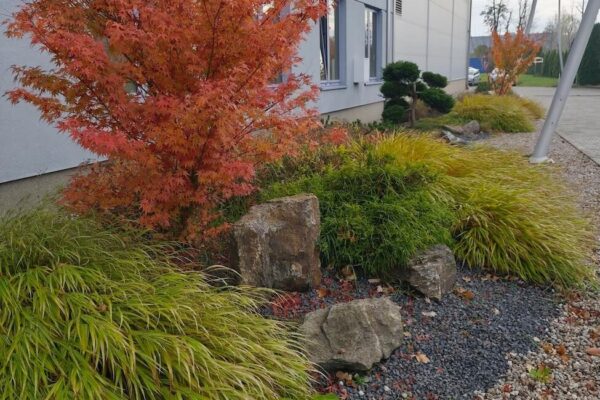 Projektowanie i zakładanie ogrodów Poznań 3