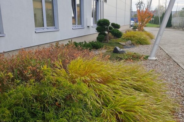 Projektowanie i zakładanie ogrodów Poznań 4