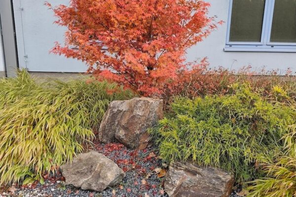 Projektowanie i zakładanie ogrodów Poznań 6